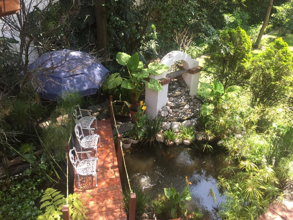 Villas Sol Y Luna Coyoacan Mexico By Eksteriør billede